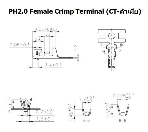 JST Plug ปลั๊ก หัวต่อ Connector ซ็อคเก็ต Socket  หมุดต่อสาย Crimp Terminal รุ่น PH2.0 #หัวต่อ PH2.0 - Image 6