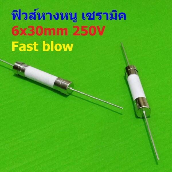 ฟิวส์ หางหนู 2 ขา บัดกรี มีขา เซรามิค Ceramic Fuse 6x30mm 250V 10A 12A 15A 20A 25A 30A #PC6x30F (1 ตัว)